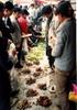 mushrooms in the market