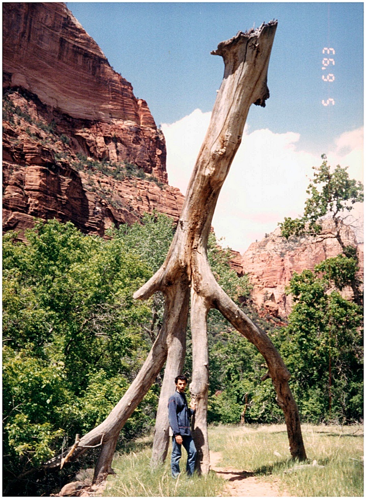 Wedding in Las Vegas and drive to Florida photo82