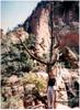 Zion National Park