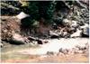 previous photo