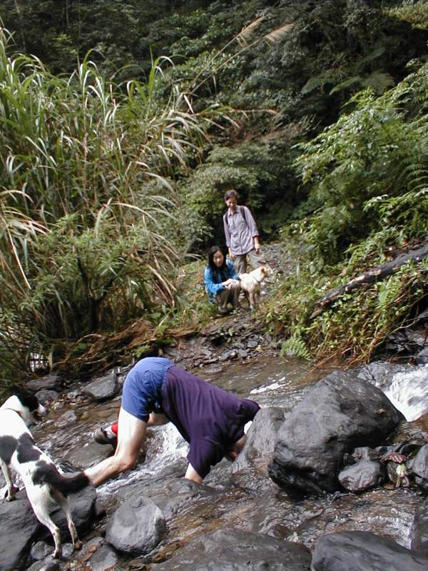 Xikeng trail 西坑林道 p1010030