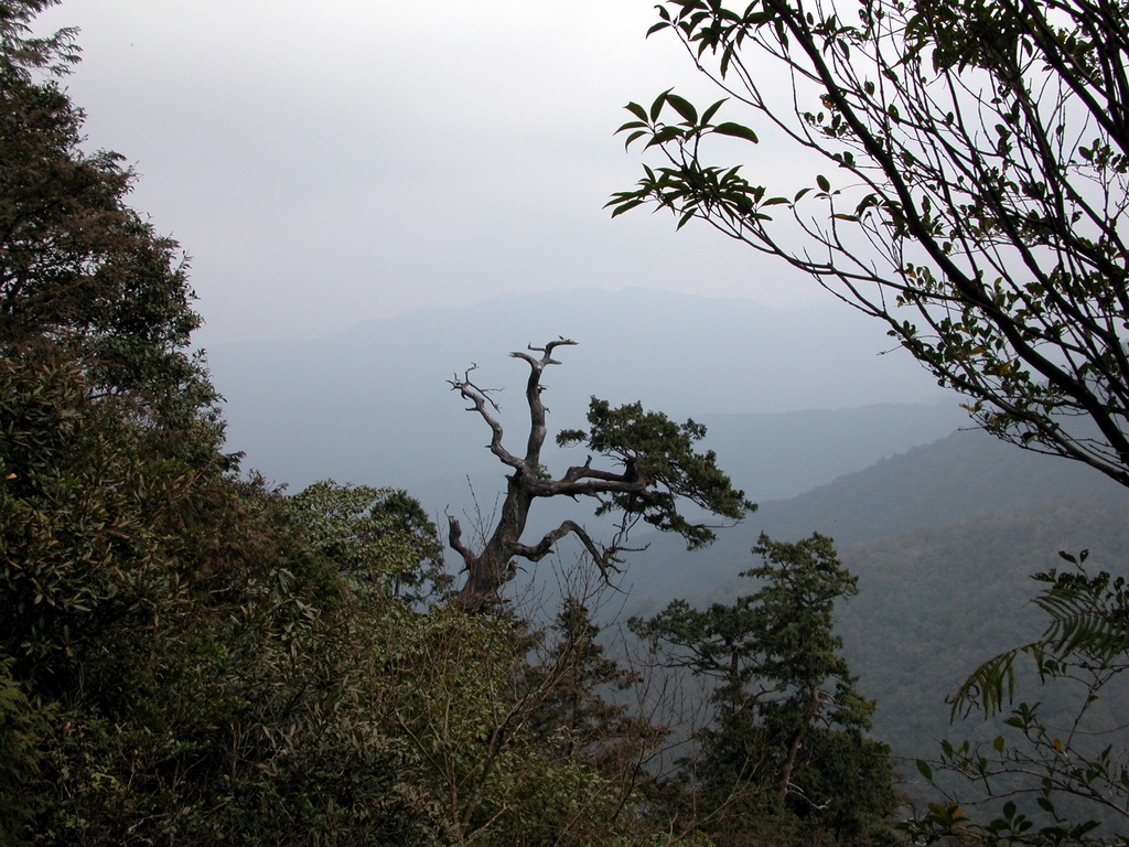 Hike from FuShan in Wulai to BaLing in TaoYuan 福山（烏來）到 巴陵（ 桃園） DSCN2924