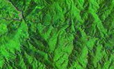 July Fushan landsat_tn.jpg