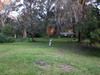 Gainesville 2004 0015