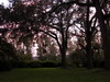 Gainesville 2004 0056