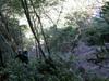 next photo: Bruce on the steep trail down to the Sanguang River 三光溪