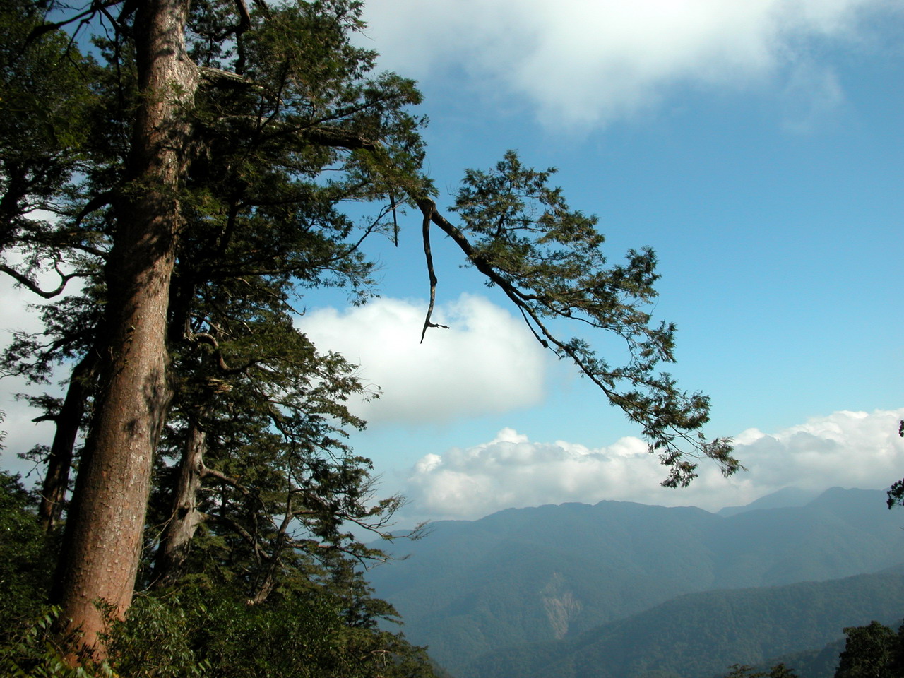 Shangbaling 上巴陵 and walk to Fushan 福山 DSCN0730