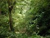 Fushan 2006 20072