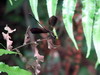 Fushan 2006 dan_1077