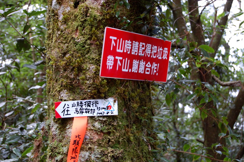 Beichatianshan 北插天山 practice hike DSC_9185