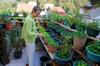 Roof-top garden