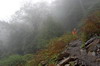 Nanhu 2007 9312