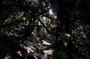Nanhu 2007 9449