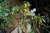 Nanhu 2007 9668