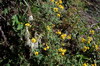 Nanhu 2007 9802