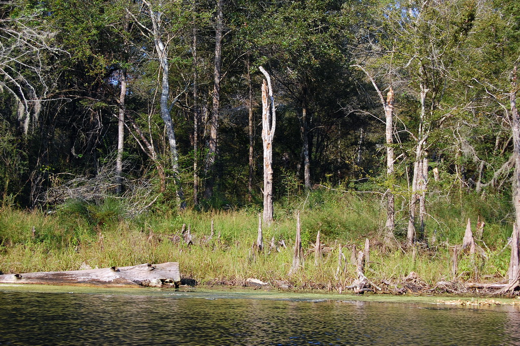 US - Fall 2007 7884