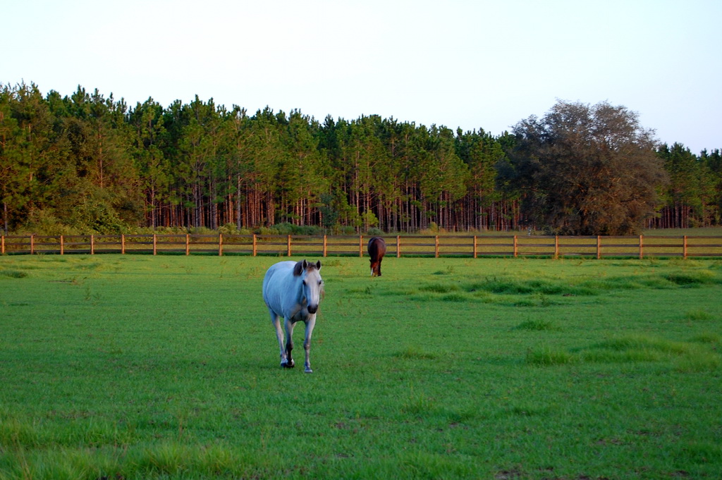 US - Fall 2007 7901