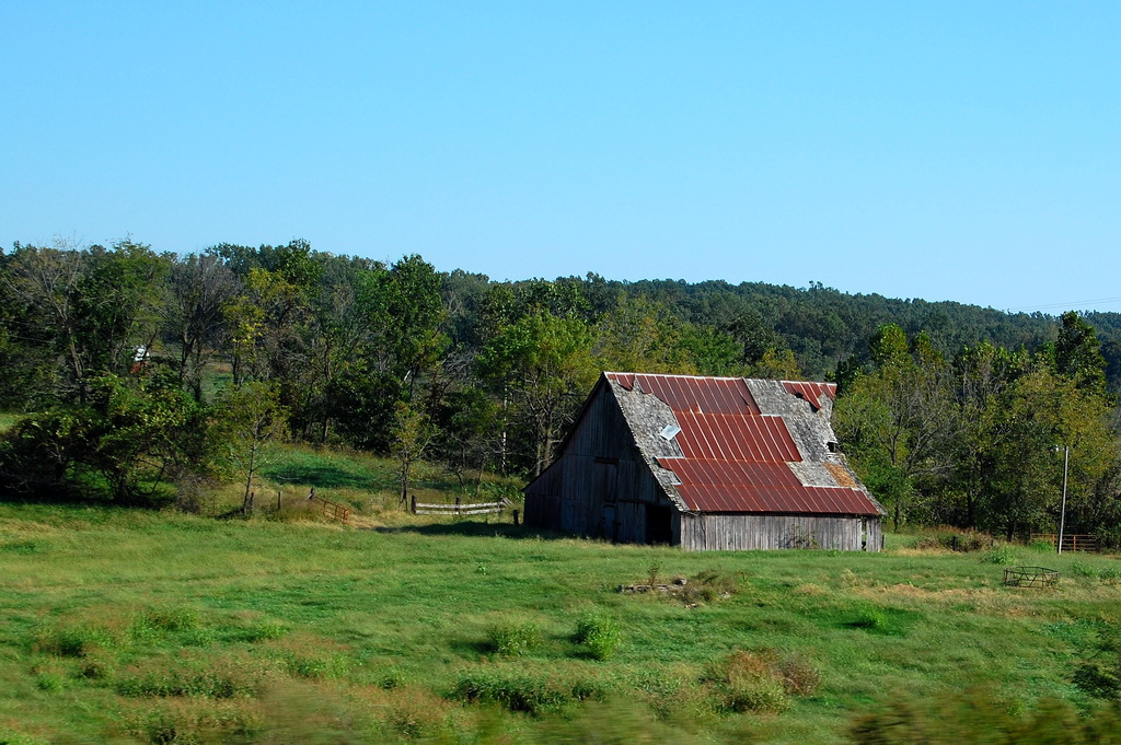 US - Fall 2007 8175