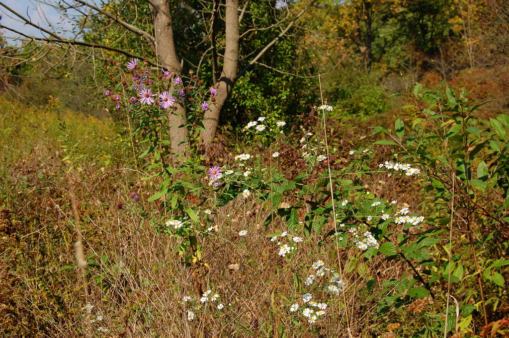 US - Fall 2007 8292