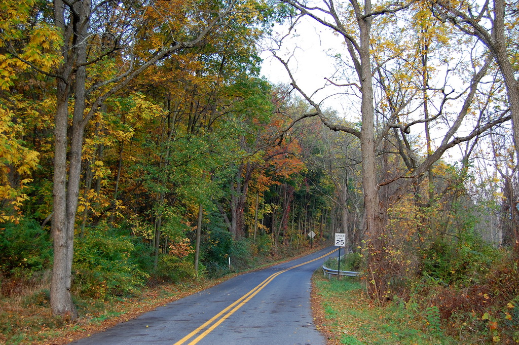 US - Fall 2007 8339