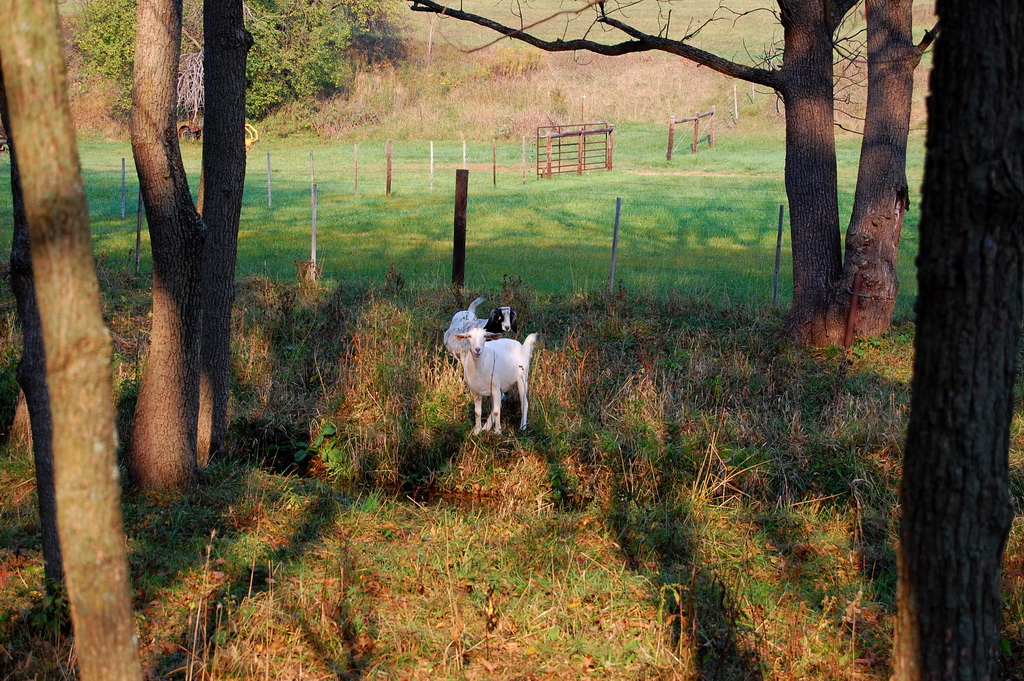 US - Fall 2007 8341