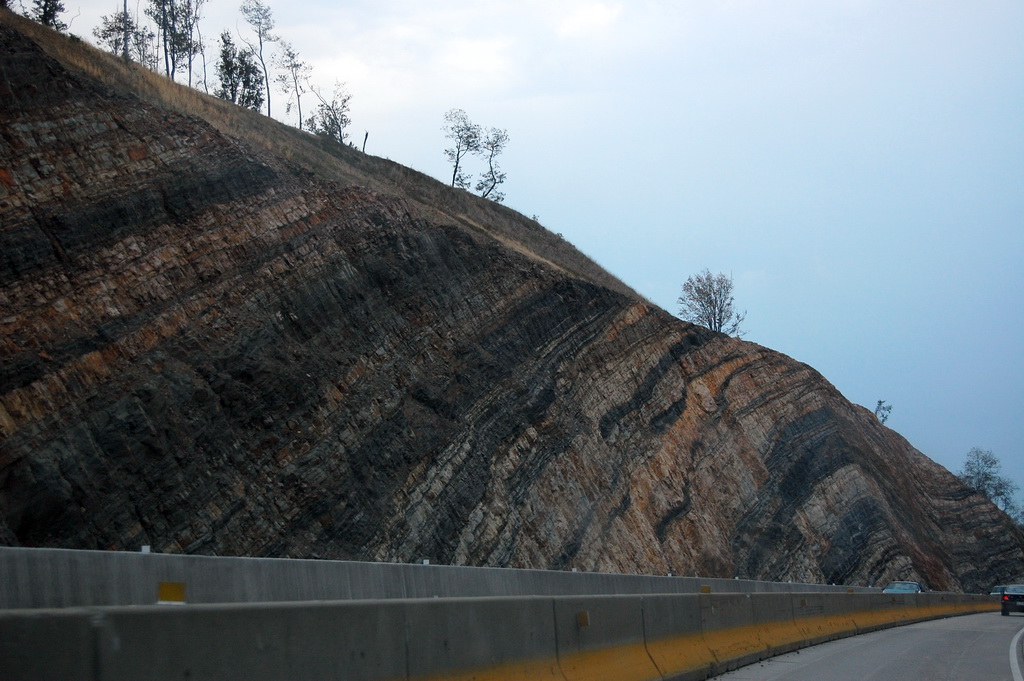 US - Fall 2007 8377