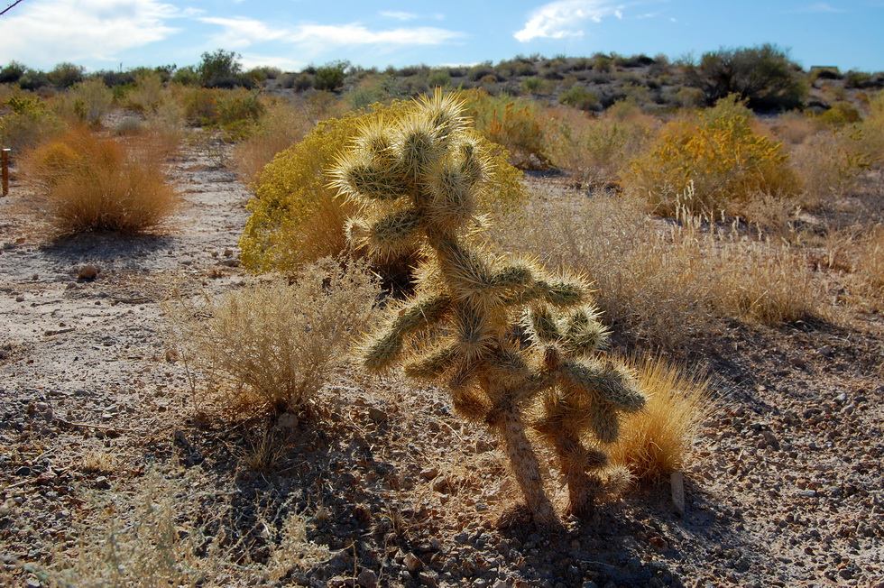 US - Fall 2007 8462
