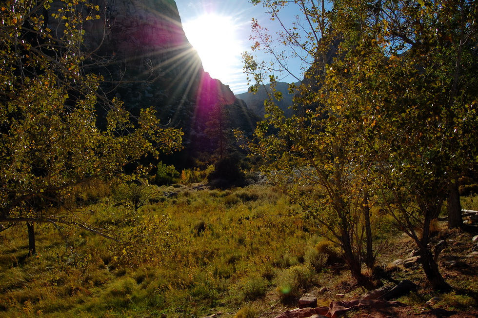US - Fall 2007 8580