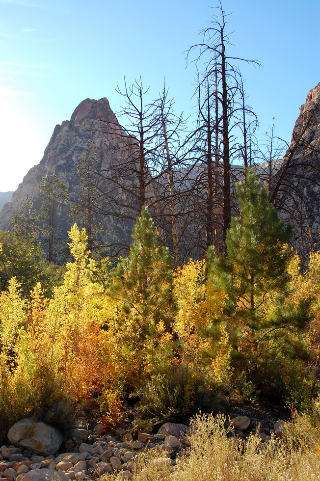 US - Fall 2007 8585