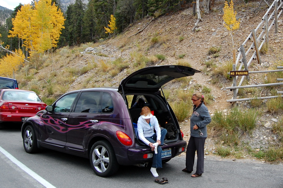 US - Fall 2007 8677
