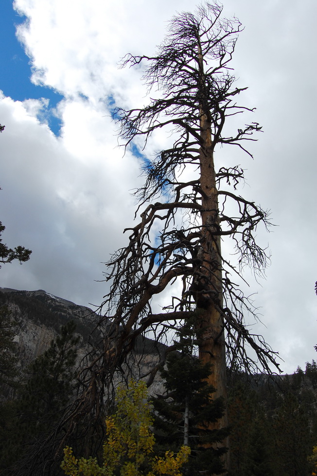 US - Fall 2007 8704