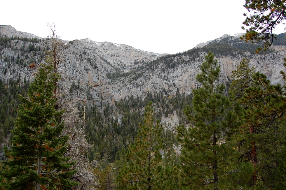 US - Fall 2007 8706