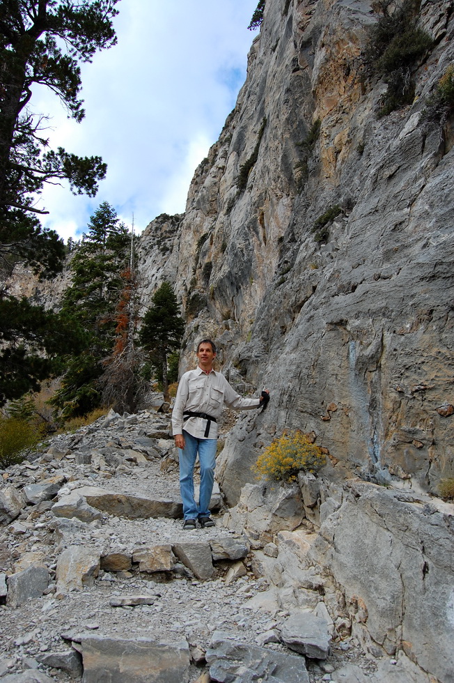 US - Fall 2007 8711