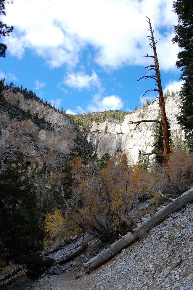 US - Fall 2007 8758