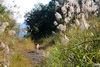 Walk along the north lip of the Feitsui reservoir 13960