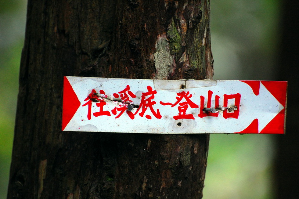 Feitsui 翡翠 Hike DSC_0463