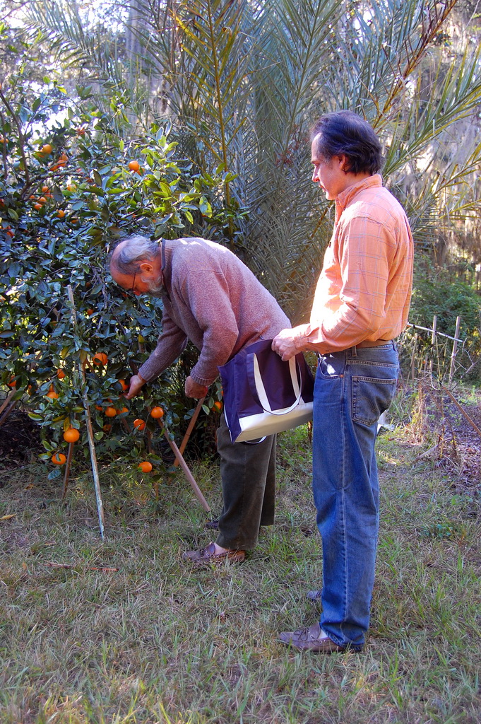 Gainesville 13866