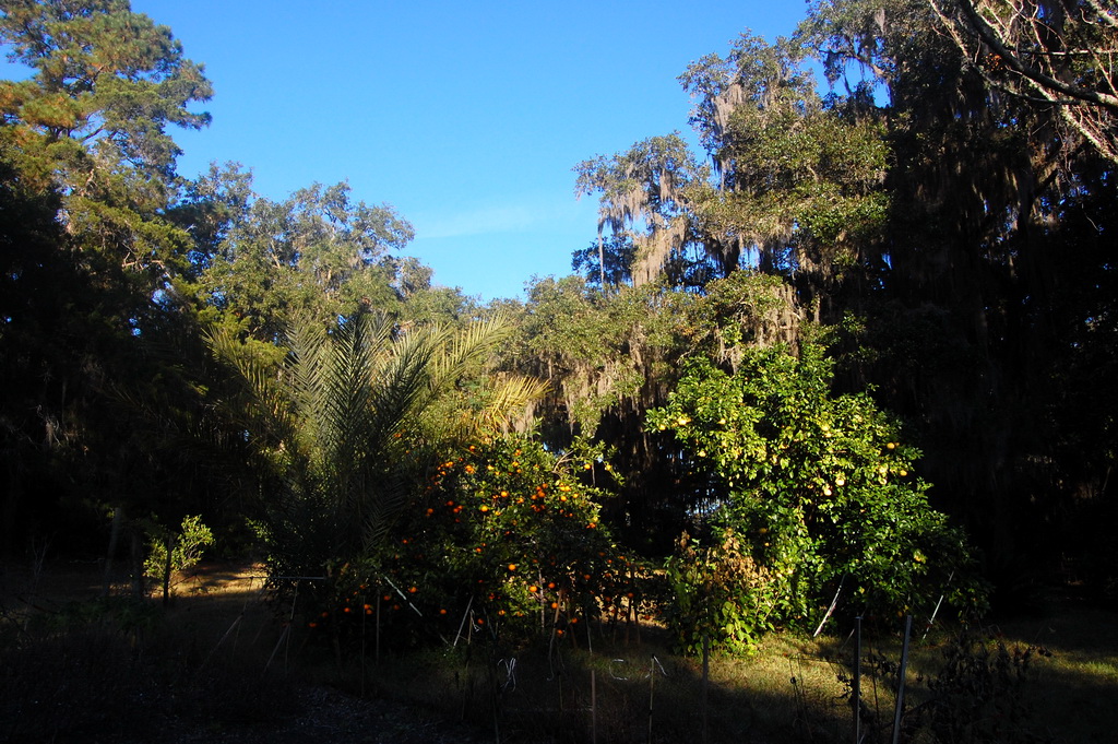 Gainesville 13886