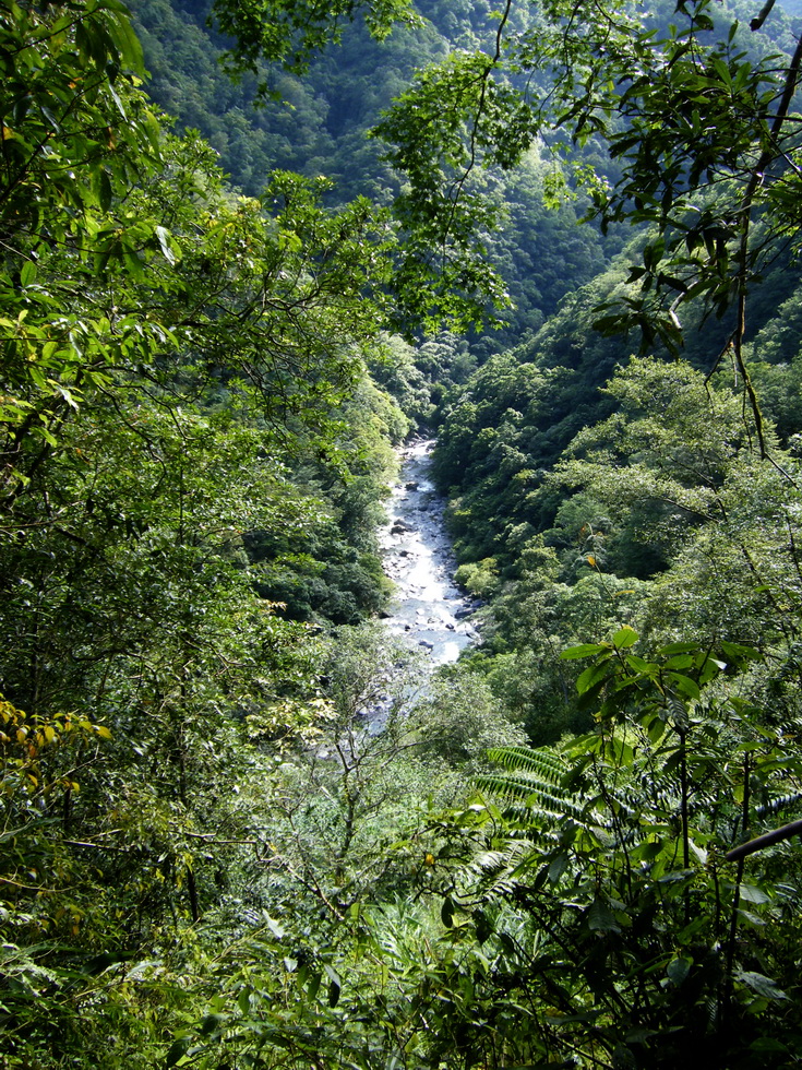 Fushan 福山 106