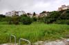 looking right along road through cleared areas, gardens