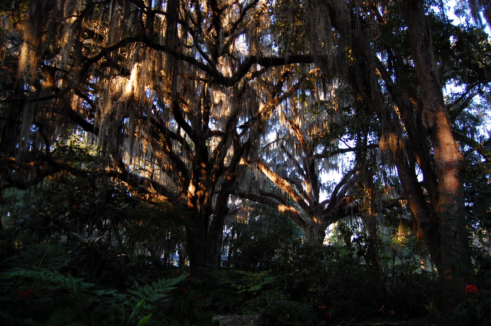 Gainesville 22649
