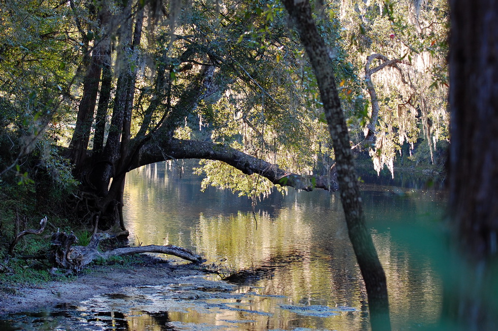 Poe Springs 22745
