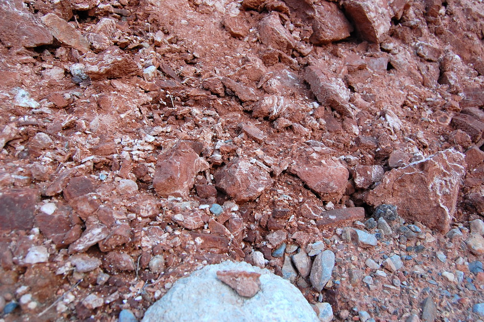 Valley of Fire 21512