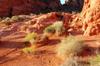 Valley of Fire 21627