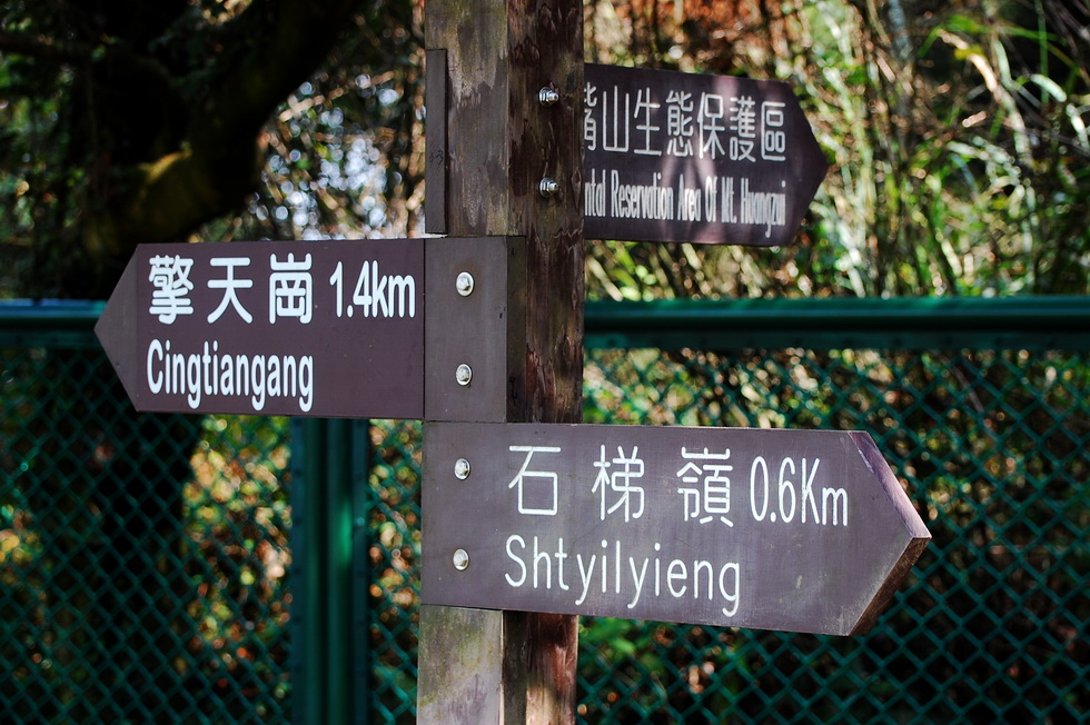 YangMingShan 陽明山 hike DSC_8562