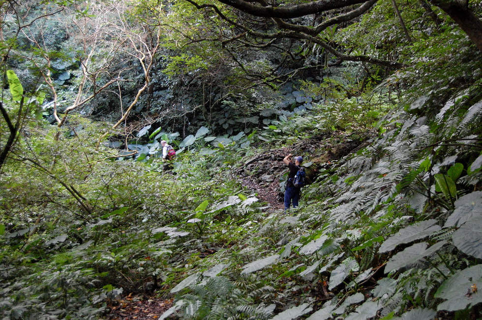 Ayu Mountain 阿玉山 DSC_3785