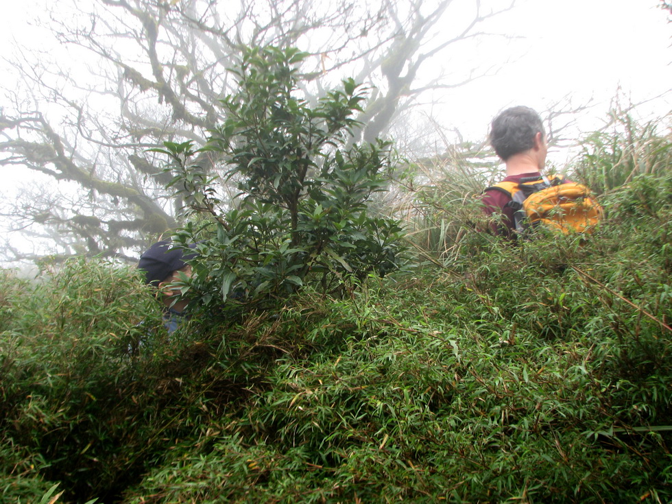Ayu Mountain 阿玉山 IMG_9984