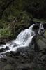 Ayu Mountain 阿玉山 DSC_3775