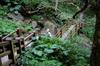 stairs put more repetitive strain on knees than uneven rock paths