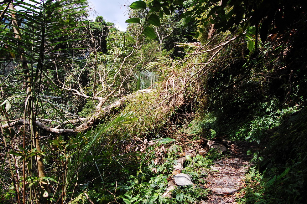 Hike up the Nanshixi 南勢溪 east of Fushan 福山 DSC_9503